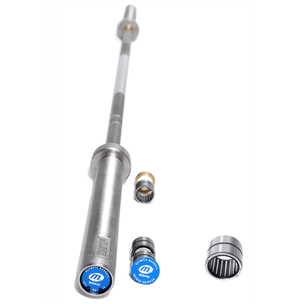 Skivstång Master Fitness Int Silver